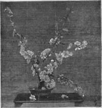 Fear Of Domination (JAP) : Fear